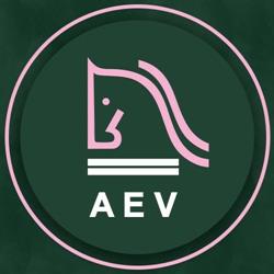 Associação De Equoterapia Vassoural