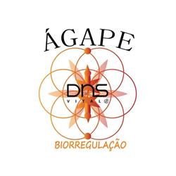 ÁGAPE Distribuição DNS Elementos Ativos