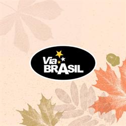 Via Brasil Jau