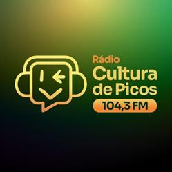 Rádio Cultura FM de Picos-PI 104,3Mhz