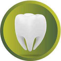 Trindade Odontologia - Dentista em Florianópolis