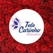 Tele Carinho Floricultura