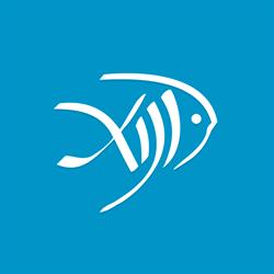 Peixe da 13