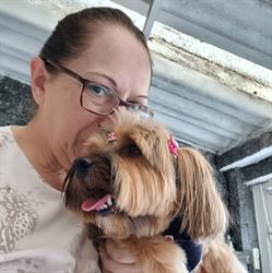 Cidade do Pet - Hospedagem domiciliar para cachorros