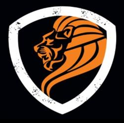 Auto Mecânica Lion