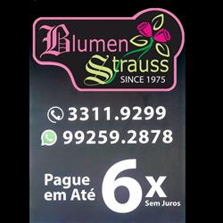 Blumenstrauss Floricultura