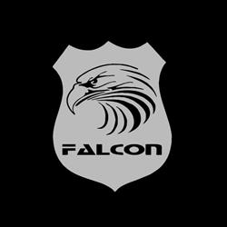 Falcon Terceirização