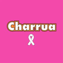 Charrua Comercial Agrícola Ltda