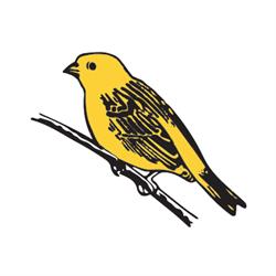 Avipar Pet Shop
