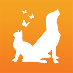 Centro Médico Veterinário Companhia Animal