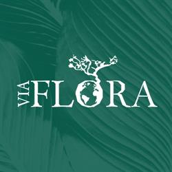 VIA FLORA Asa Norte Brasília DF