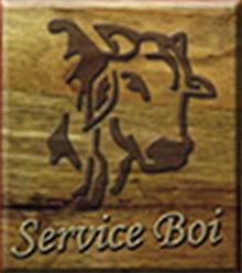 Service Boi Churrascaria