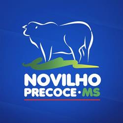 Novilho Precoce MS