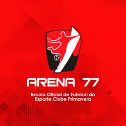 Arena 77 Futebol Society