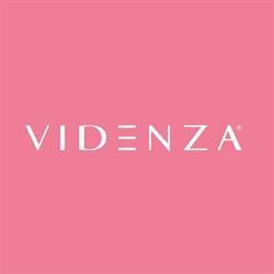 Videnza
