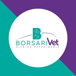 Borsarivet