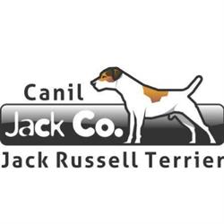 Canil Jack Co. - Jack Russell Terriers