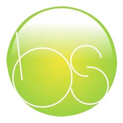 BoechatSoft Soluções em Software