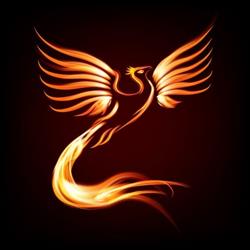 REFRIGERACAO FENIX
