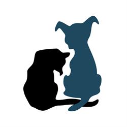 Accore Centro de Diagnóstico Veterinário