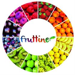 Fruttine Polpas de Frutas Congeladas