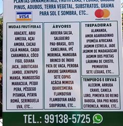VIVEIRO MUNDO VERDE