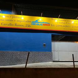 Oficina de Lanternagem e Pintura Automotiva - Carvalho Ramos