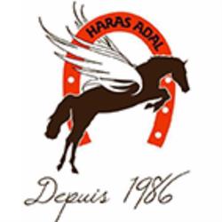 Haras Adal