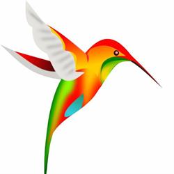 Colibri Food Service - Distribuidora de produtos orientais