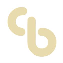 Bulla Odontologia