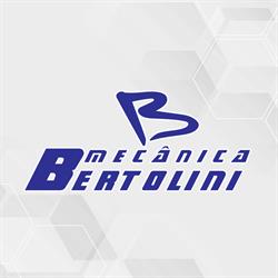 Mecânica Bertolini