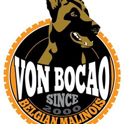 Canil Von Bocão Malinois