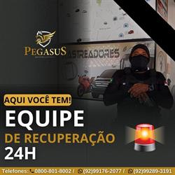 PEGASUS RASTREADORES LTDA