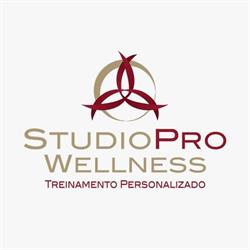 Studio Pro Wellness - Treinamento Personalizado