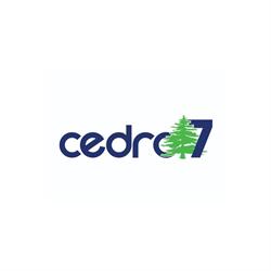 Cedro 7 Corretora