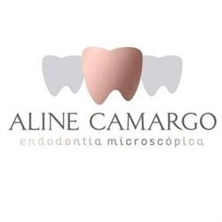 Dra Aline Camargo - Endodontia Microscópica