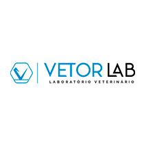 Vetor Lab
