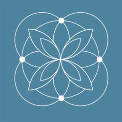 Instituto Flor da Vida