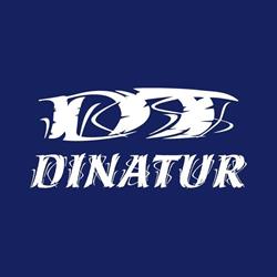 Dinatur Transporte e Turismo Ltda