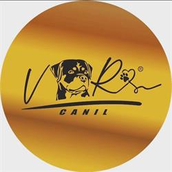 Canil Von Ribeker Adestramento de cães