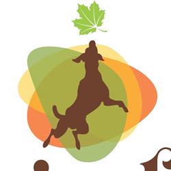 Kaizukas Pet Resort - Hotel e Creche para Cães