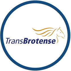 TransBrotense