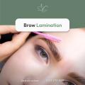 Brow-Lamination