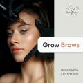 Grow-Brows