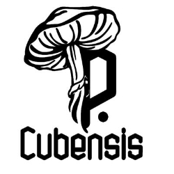 P. cubensis