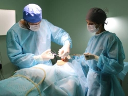 Probst Odontologia I Cirurgia Bucomaxilofacial em São Leopoldo