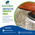 Limpeza-de-Tapete