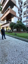 Adestrador de cães campo grande rj