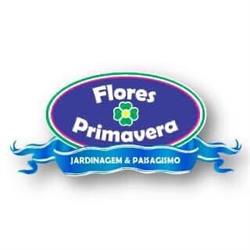 Flores Primavera