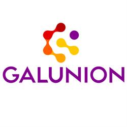 Galunion Consultoria para Foodservice